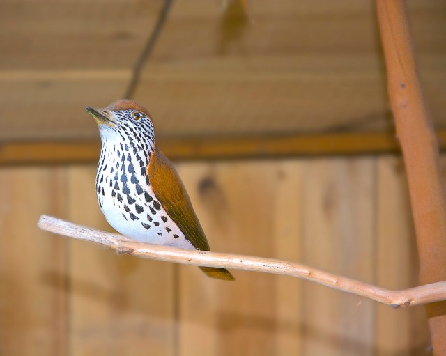 14535981731_ca7a1e1edd_k