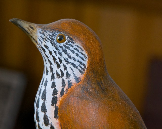 14559483643_44762fbc20_k