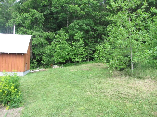What the site looked like just before excavation.