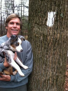 Ivy's first time on the Appalachian Trail, at about 18 weeks old.